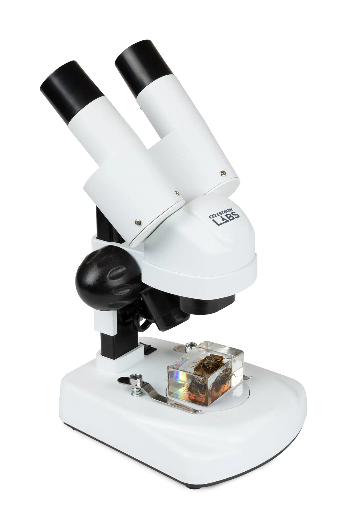 Celestron Labs S20 Angled Stereo Microscope - Image 2