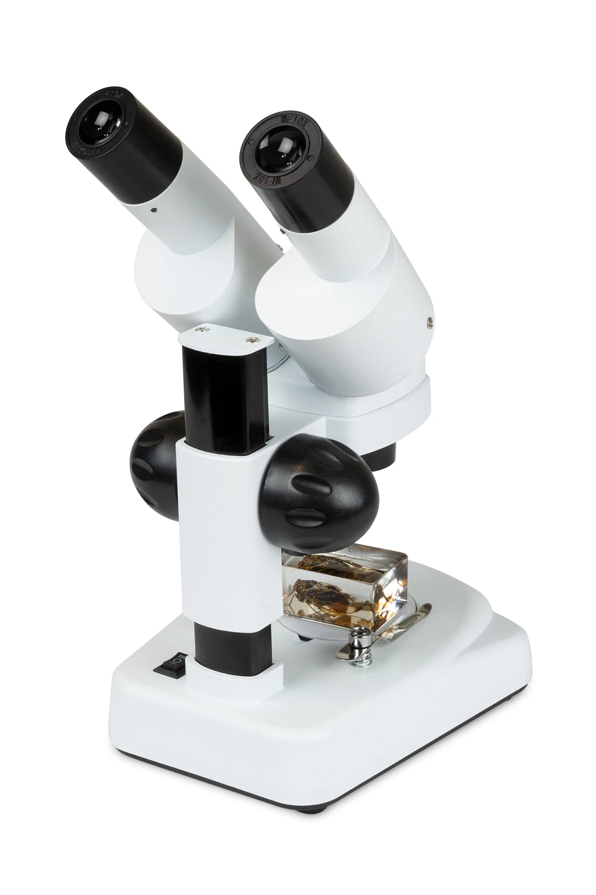 Celestron Labs S20 Angled Stereo Microscope - Image 3
