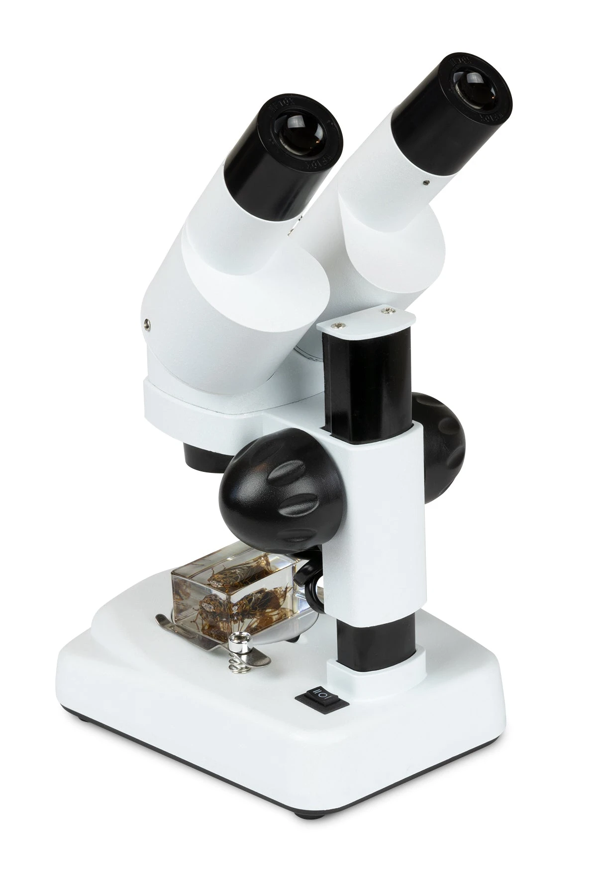 Celestron Labs S20 Angled Stereo Microscope - Image 4