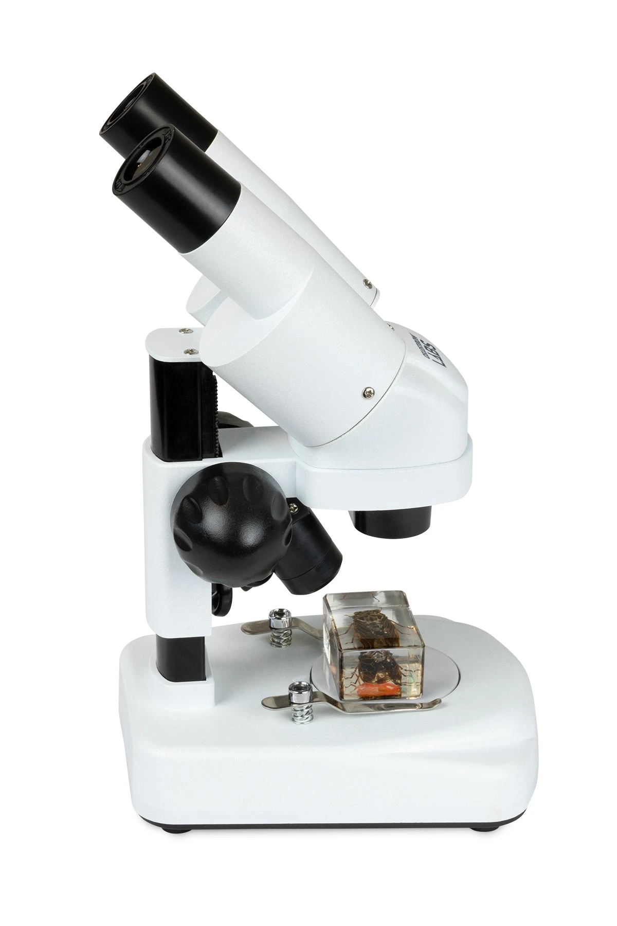 Celestron Labs S20 Angled Stereo Microscope - Image 6