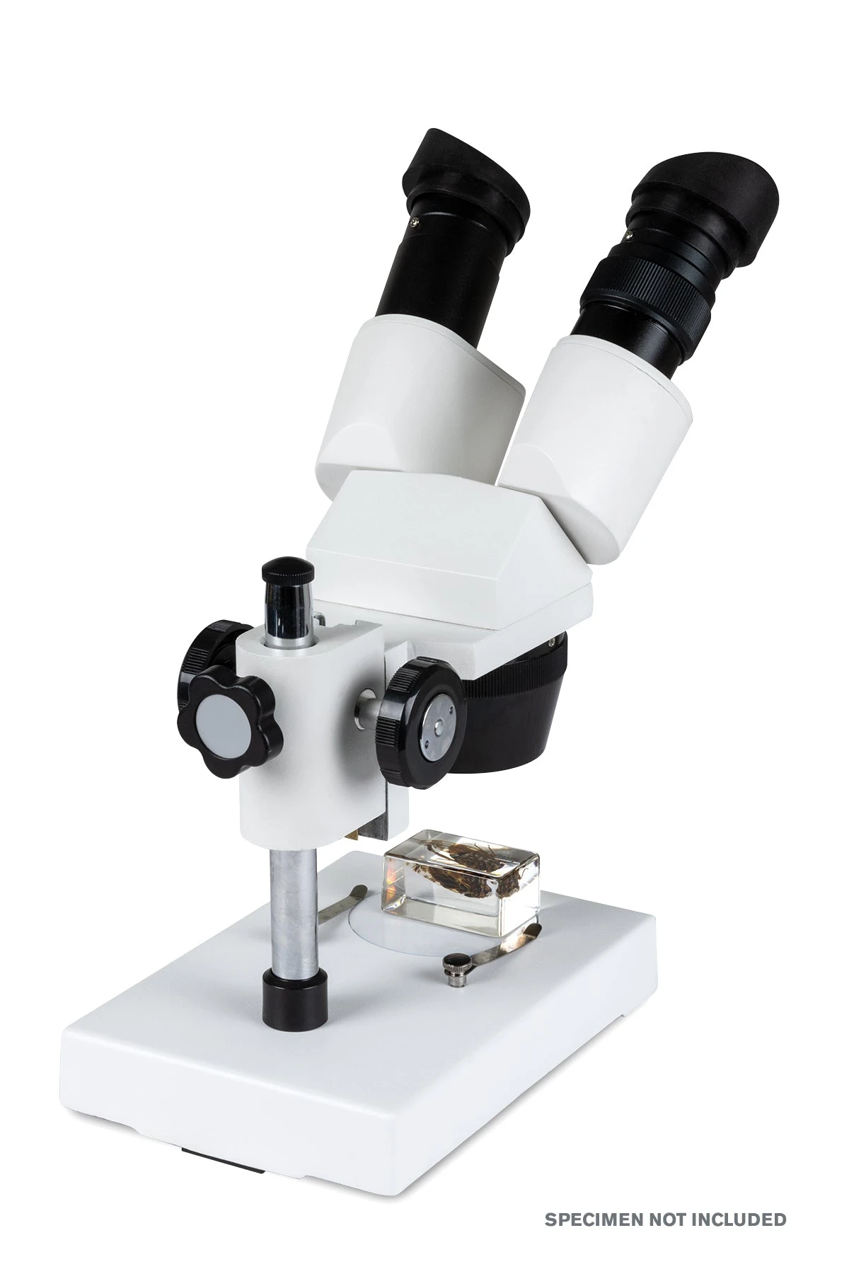 Celestron Labs S1030N Stereo Microscope - Image 3