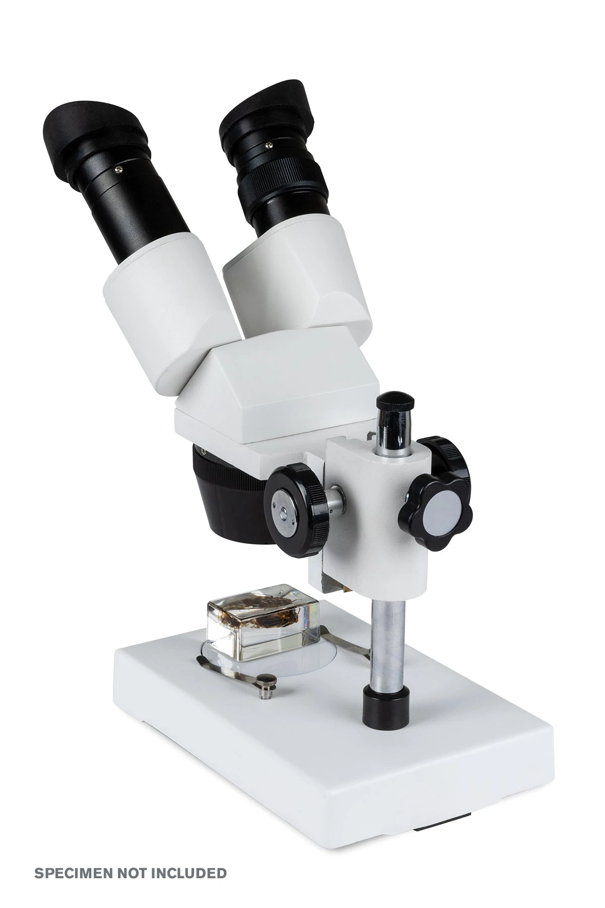 Celestron Labs S1030N Stereo Microscope - Image 4