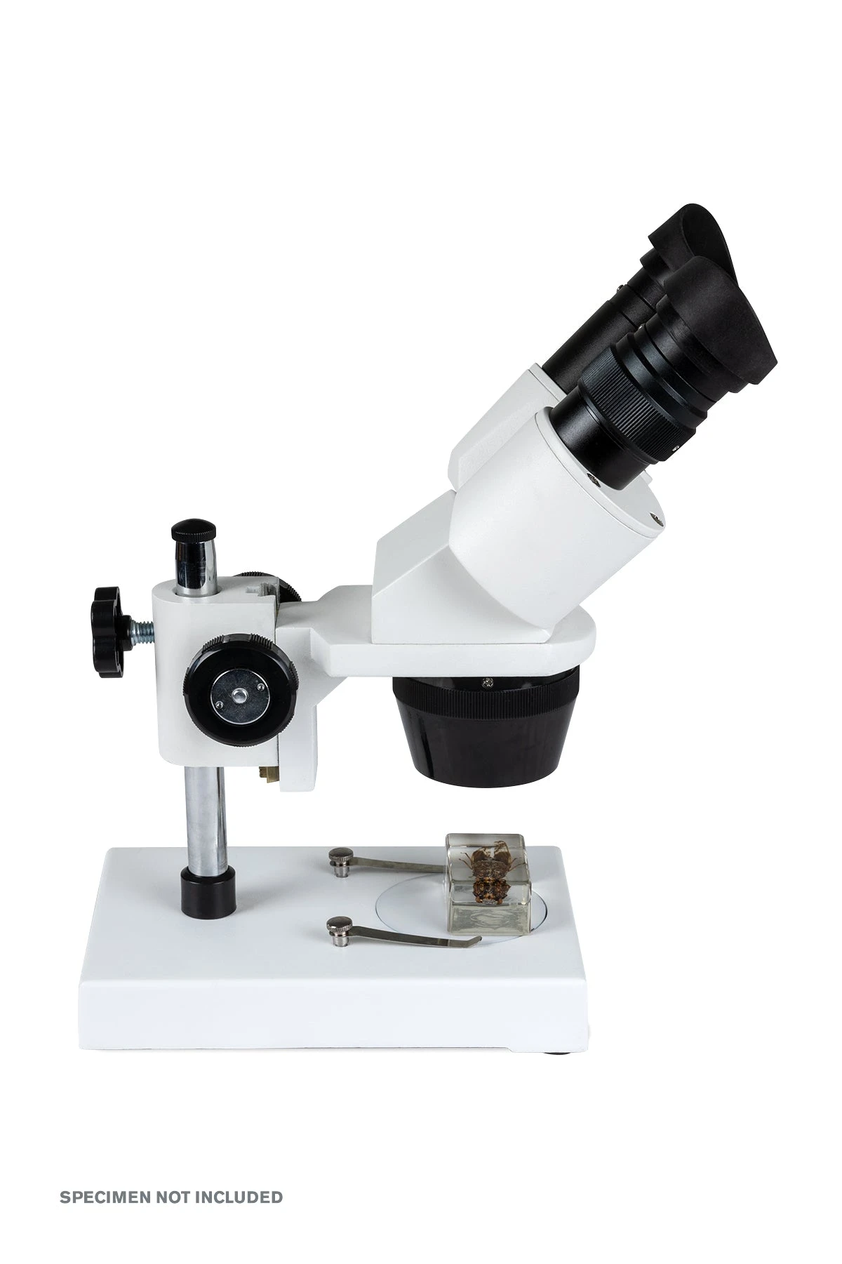 Celestron Labs S1030N Stereo Microscope - Image 5