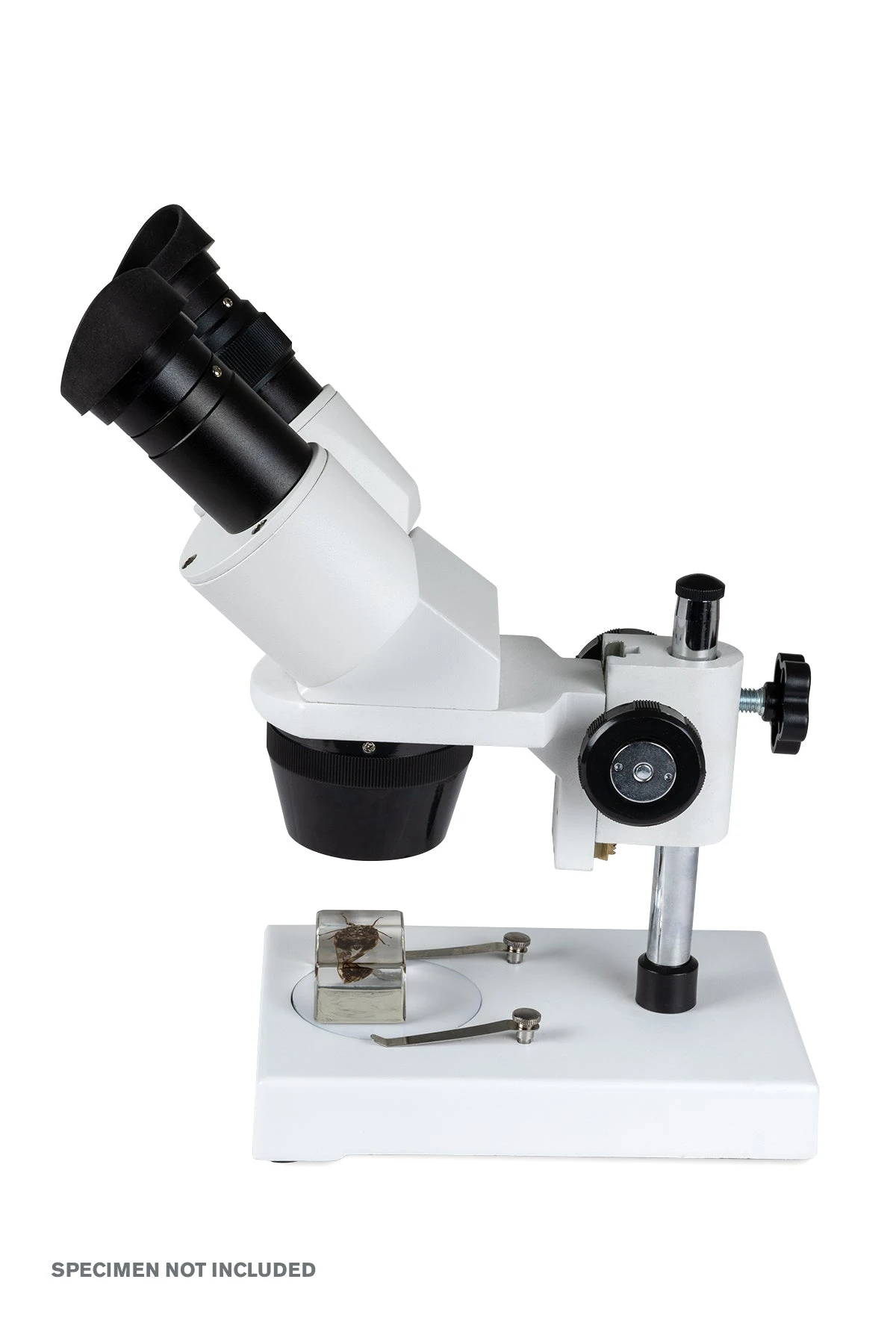 Celestron Labs S1030N Stereo Microscope - Image 6