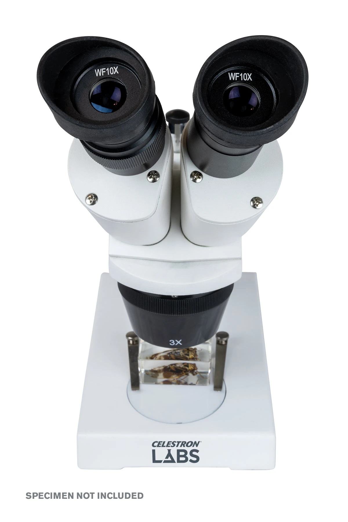 Celestron Labs S1030N Stereo Microscope - Image 12