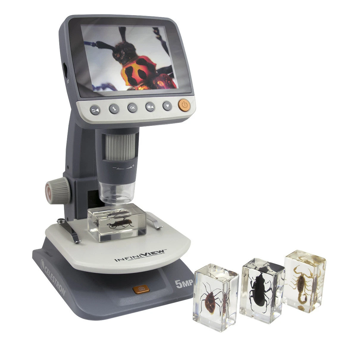 Celestron 3D Bug Specimen Kit #1 - Image 2