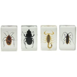 Celestron 3D Bug Specimen Kit #1