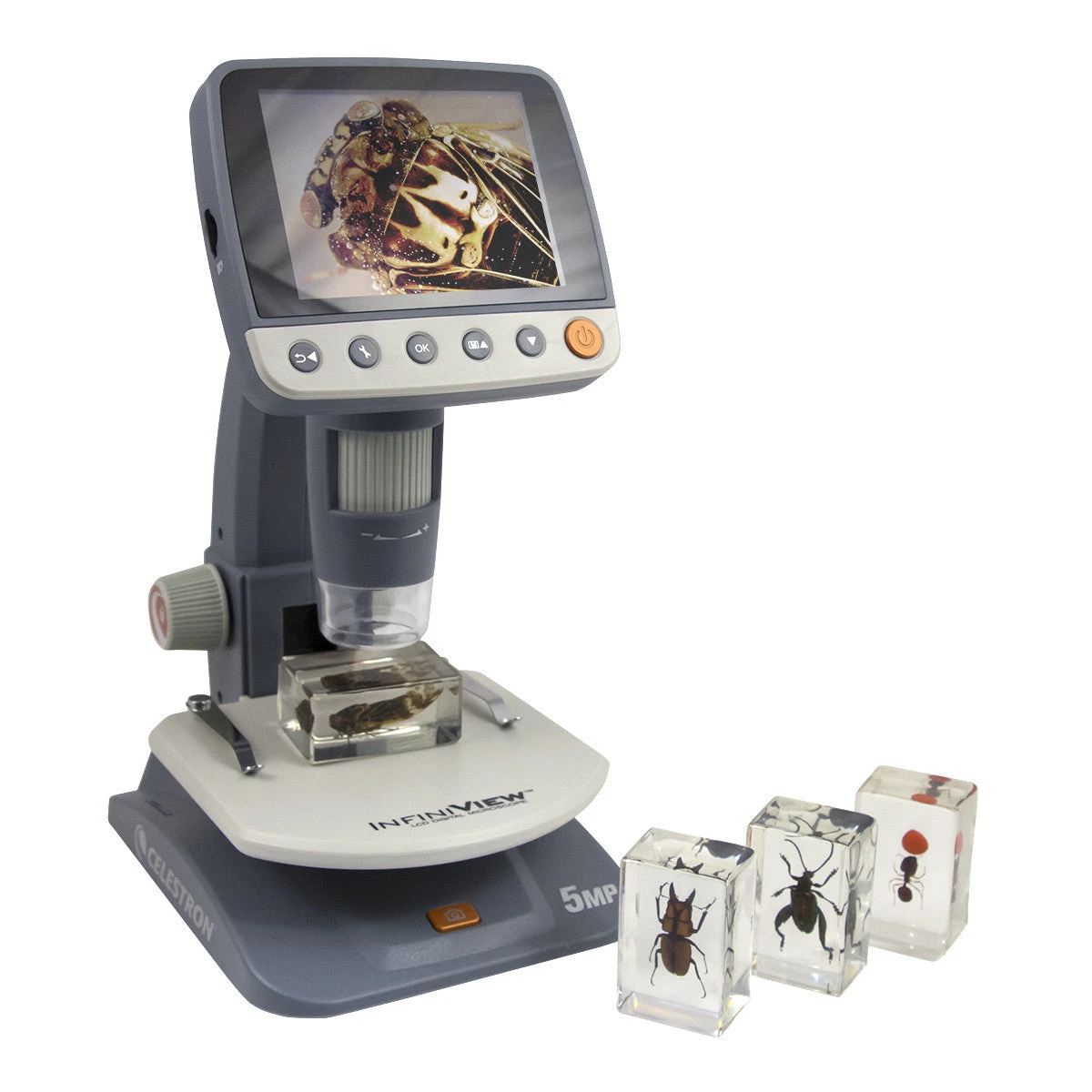 Celestron 3D Bug Specimen Kit #3 - Image 3