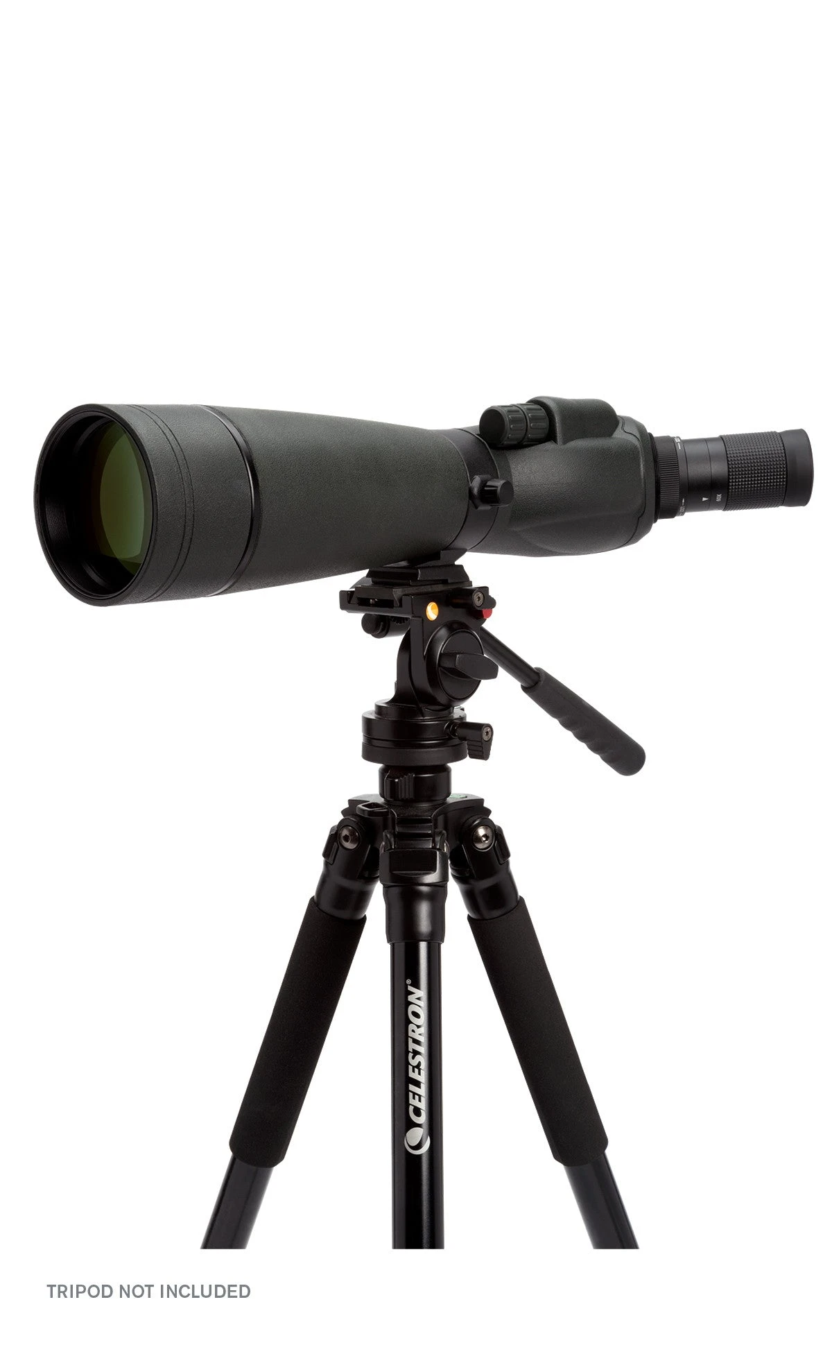 Celestron TrailSeeker 20-60x80mm Angled Zoom Spotting Scope - Image 11