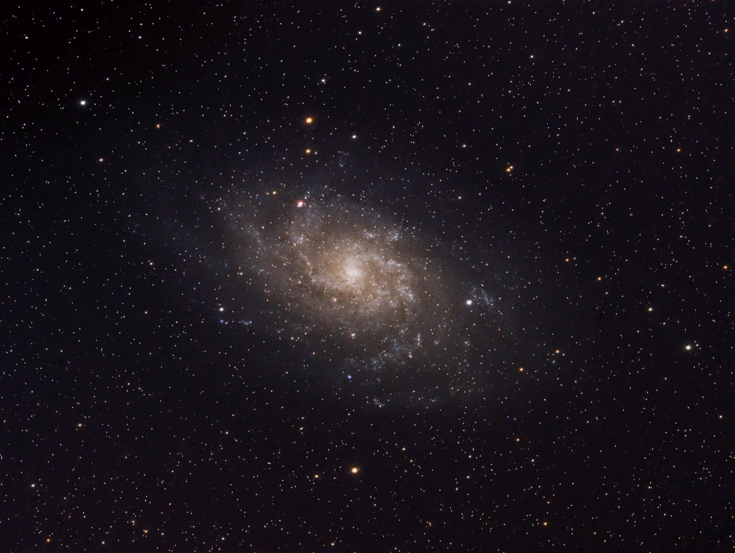 Celestron Rowe-Ackermann Schmidt Astrograph With CGE Pro - Image 5