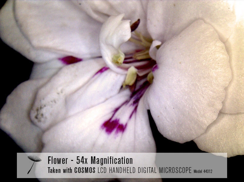 Celestron COSMOS 3 MP LCD Handheld Digital Microscope - Image 11