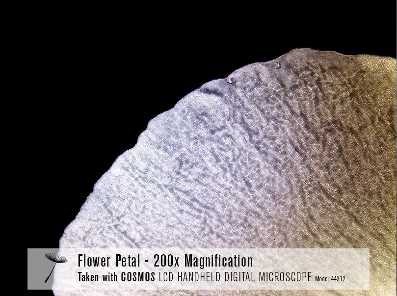 Celestron COSMOS 3 MP LCD Handheld Digital Microscope - Image 7