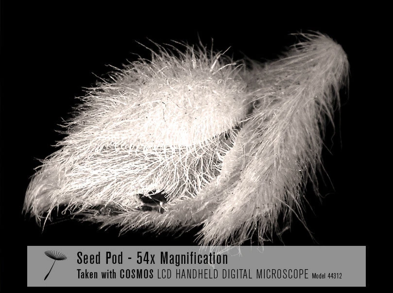 Celestron COSMOS 3 MP LCD Handheld Digital Microscope - Image 14