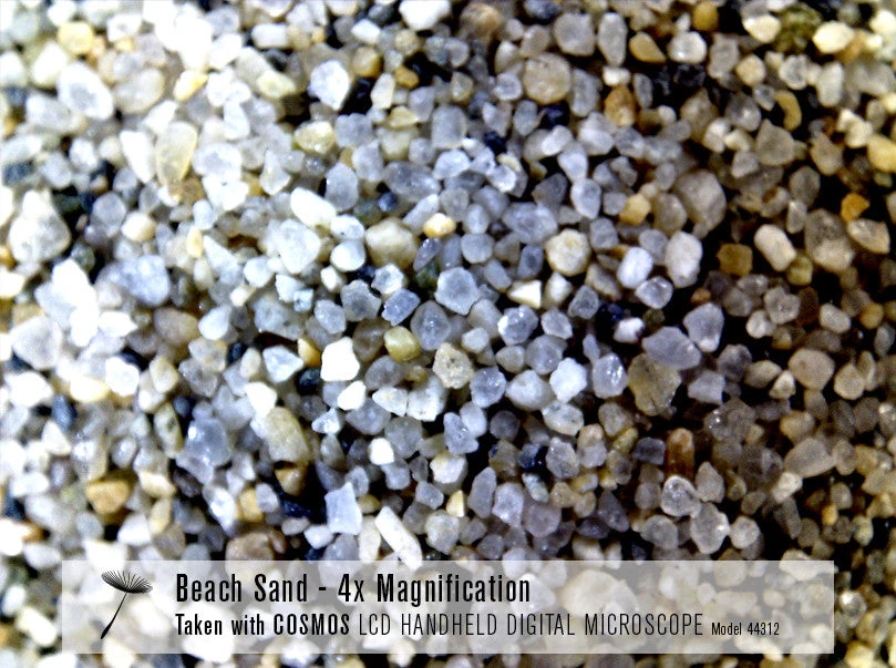 Celestron COSMOS 3 MP LCD Handheld Digital Microscope - Image 8