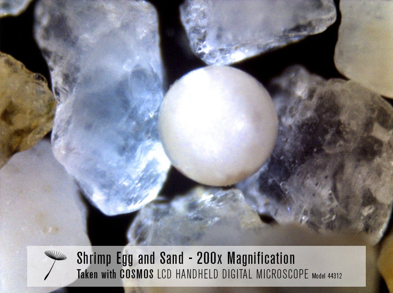 Celestron COSMOS 3 MP LCD Handheld Digital Microscope - Image 13