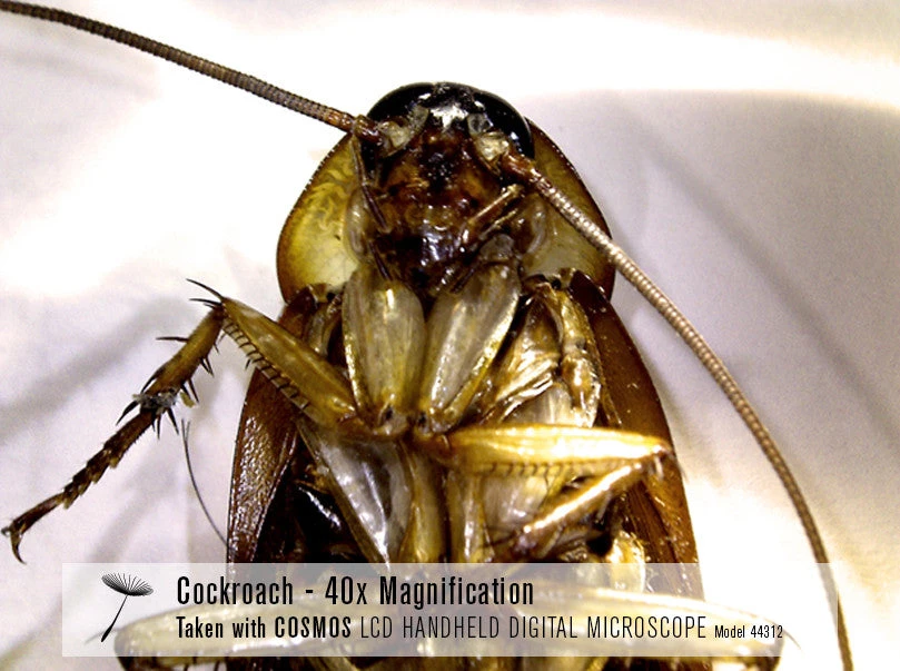 Celestron COSMOS 3 MP LCD Handheld Digital Microscope - Image 9