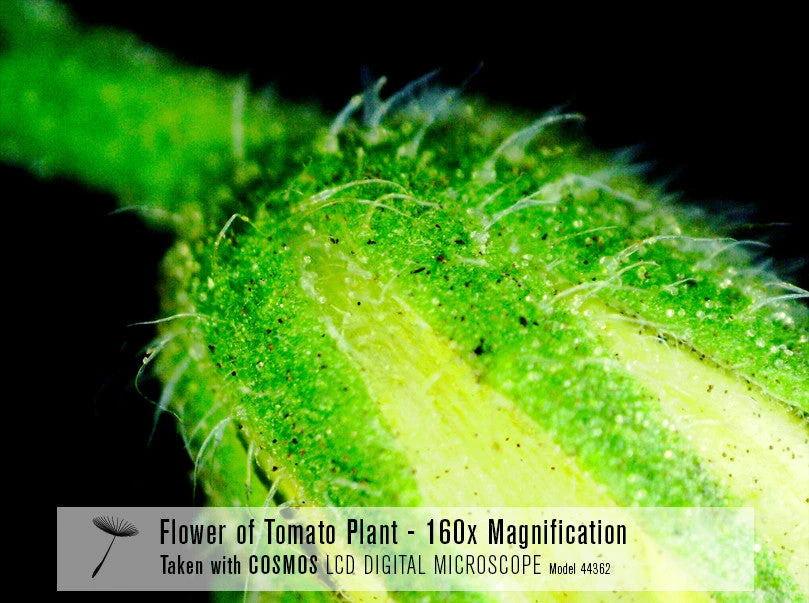 Celestron COSMOS 5 MP LCD Desktop Digital Microscope - Image 5