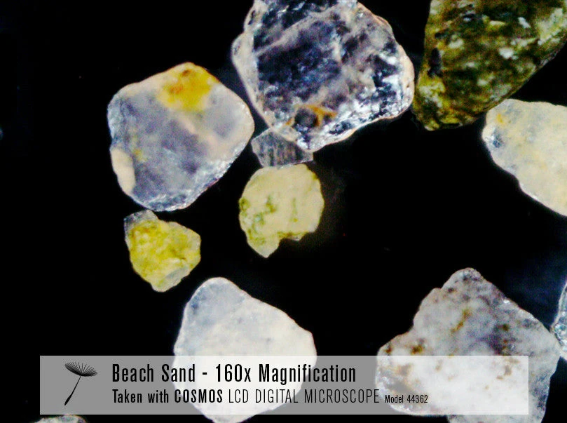 Celestron COSMOS 5 MP LCD Desktop Digital Microscope - Image 3